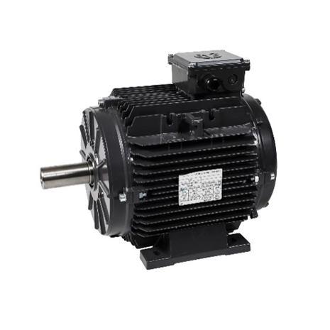 Motore Pmsm ad alta potenza 72v 96v approvato CE